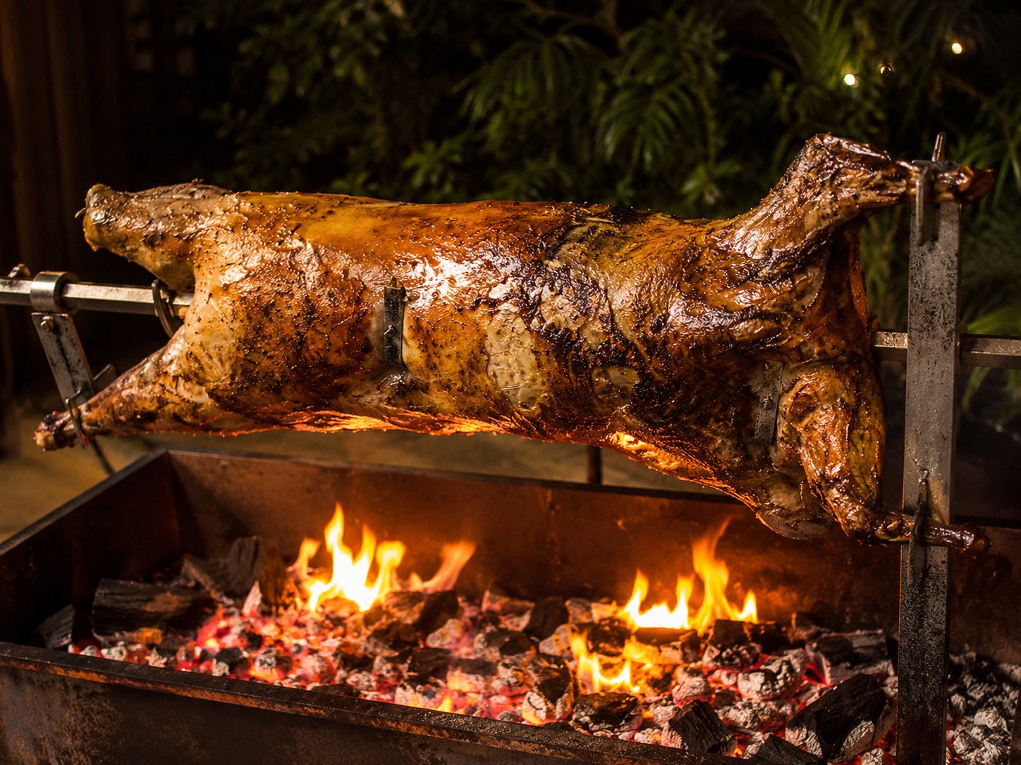 Whole lamb on the spit, roasting over glowing coals and open flame